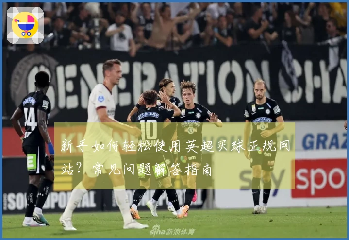 新手如何轻松使用英超买球正规网站？常见问题解答指南